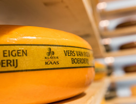 Dutch cheeses