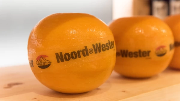 Holländischer Käse